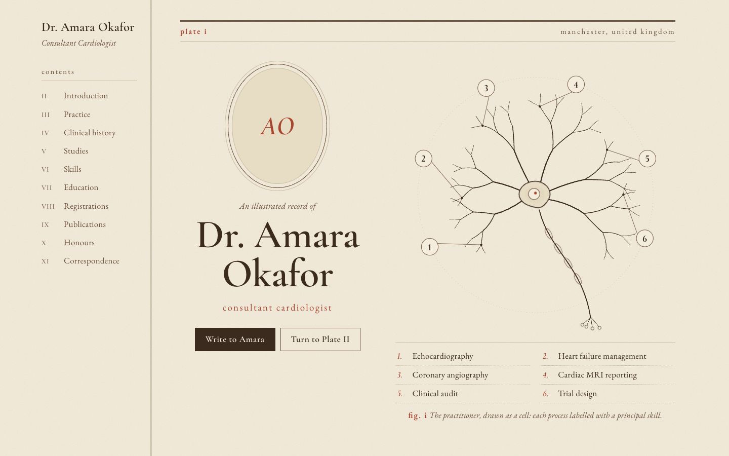 Preview of the Anatomica portfolio website template