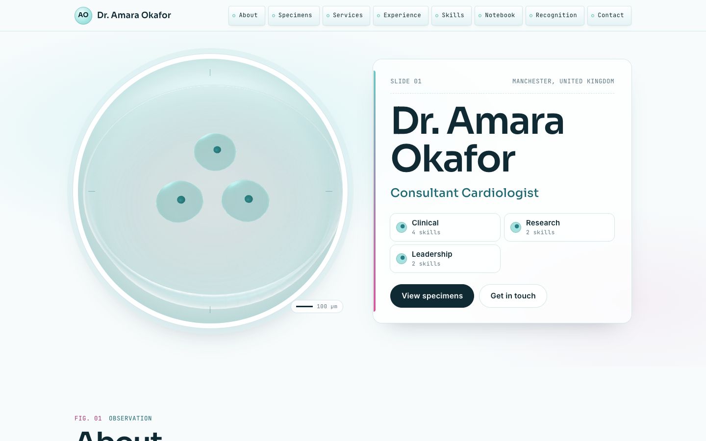 Preview of the Petri portfolio website template