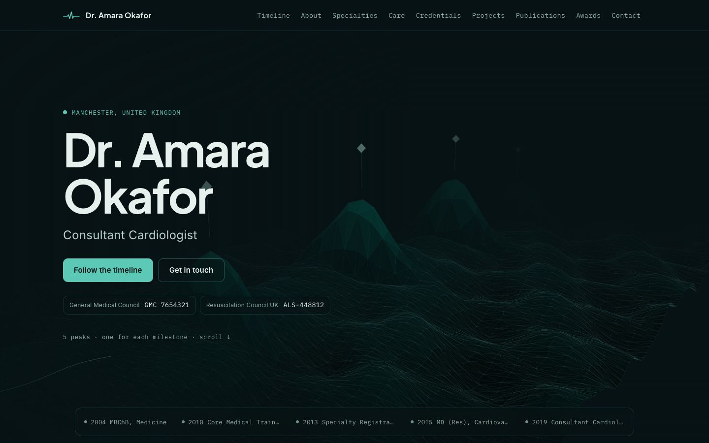 Preview of the Pulse Field portfolio website template